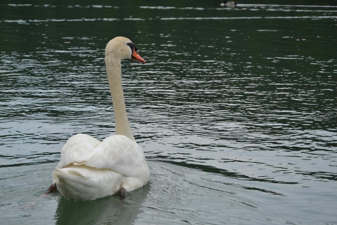Gostisce Jezero 3*